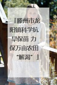 滕州市龙阳镇科学抗旱保苗 力保万亩农田“解渴”