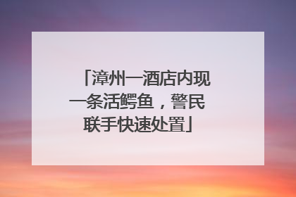 漳州一酒店内现一条活鳄鱼，警民联手快速处置
