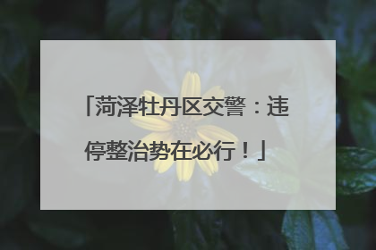 菏泽牡丹区交警：违停整治势在必行！