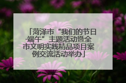 菏泽市“我们的节日·端午”主题活动暨全市文明实践精品项目案例交流活动举办