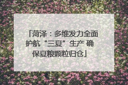 菏泽：多维发力全面护航“三夏”生产 确保夏粮颗粒归仓