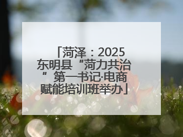 菏泽：2025东明县“菏力共治”第一书记·电商赋能培训班举办