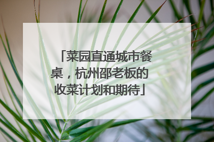 菜园直通城市餐桌，杭州邵老板的收菜计划和期待