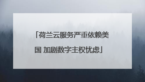 荷兰云服务严重依赖美国 加剧数字主权忧虑
