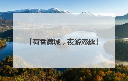 荷香满城，夜游添趣