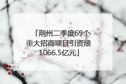 荆州二季度69个重大招商项目引资额1066.5亿元