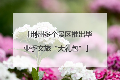 荆州多个景区推出毕业季文旅“大礼包”