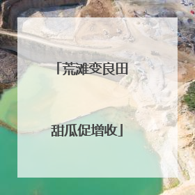 荒滩变良田 甜瓜促增收
