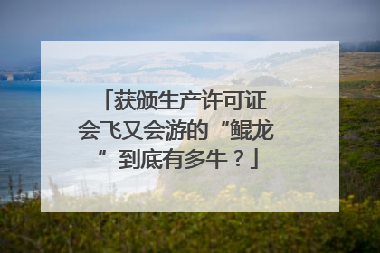 获颁生产许可证 会飞又会游的“鲲龙”到底有多牛？