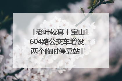 老叶较真丨宝山1604路公交车增设两个临时停靠站