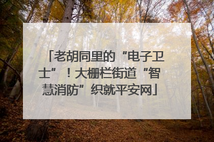老胡同里的“电子卫士”！大栅栏街道“智慧消防”织就平安网