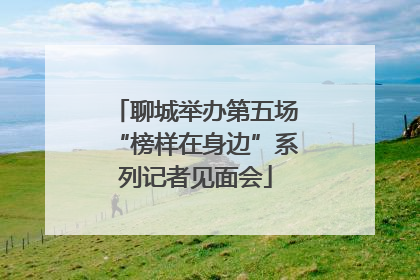 聊城举办第五场“榜样在身边”系列记者见面会