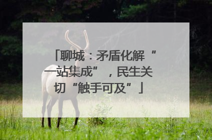 聊城：矛盾化解“一站集成”，民生关切“触手可及”