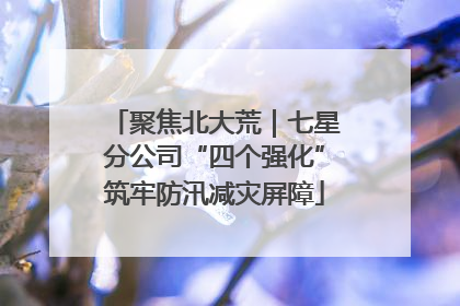 聚焦北大荒｜七星分公司“四个强化”筑牢防汛减灾屏障