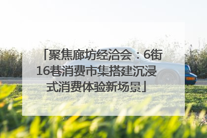 聚焦廊坊经洽会：6街16巷消费市集搭建沉浸式消费体验新场景