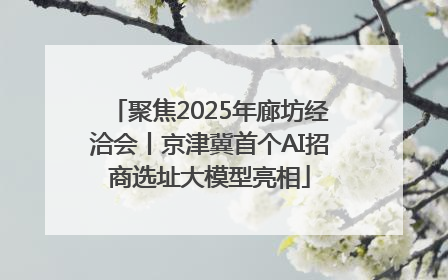 聚焦2025年廊坊经洽会丨京津冀首个AI招商选址大模型亮相
