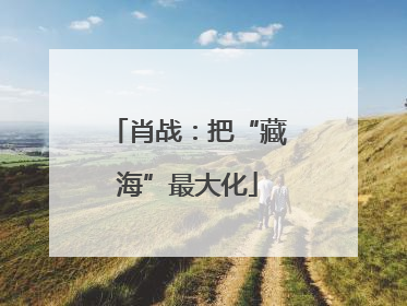 肖战：把“藏海”最大化