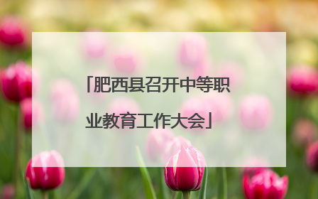 肥西县召开中等职业教育工作大会