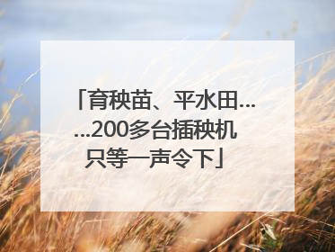 育秧苗、平水田……200多台插秧机只等一声令下