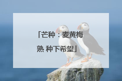 芒种：麦黄梅熟 种下希望