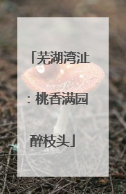 芜湖湾沚：桃香满园醉枝头