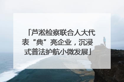芦淞检察联合人大代表“典”亮企业，沉浸式普法护航小微发展