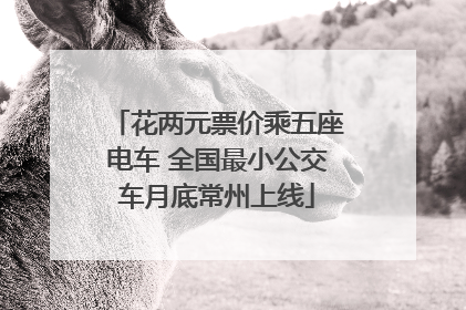花两元票价乘五座电车 全国最小公交车月底常州上线