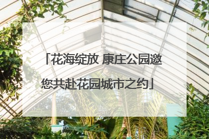 花海绽放 康庄公园邀您共赴花园城市之约