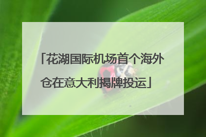花湖国际机场首个海外仓在意大利揭牌投运