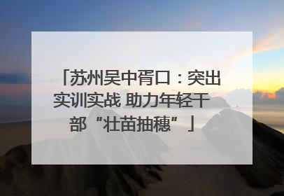 苏州吴中胥口：突出实训实战 助力年轻干部“壮苗抽穗”