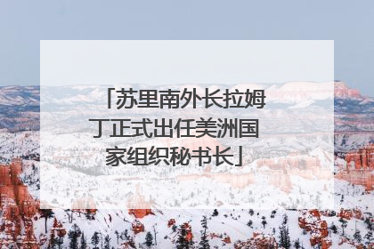 苏里南外长拉姆丁正式出任美洲国家组织秘书长