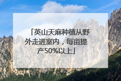 英山天麻种植从野外走进室内，每亩提产50%以上