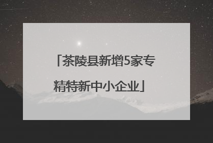茶陵县新增5家专精特新中小企业