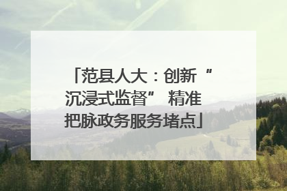 范县人大：创新“沉浸式监督” 精准把脉政务服务堵点