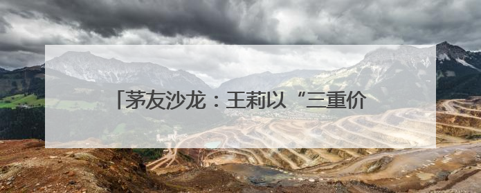 茅友沙龙：王莉以“三重价值”与茅友共探情感逻辑