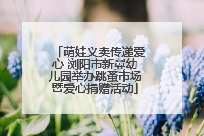 萌娃义卖传递爱心 浏阳市新翼幼儿园举办跳蚤市场暨爱心捐赠活动