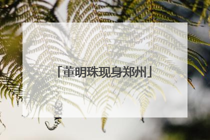董明珠现身郑州