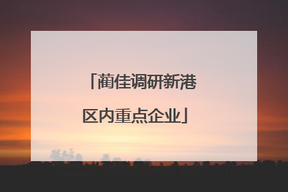 蔺佳调研新港区内重点企业