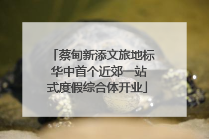 蔡甸新添文旅地标 华中首个近郊一站式度假综合体开业