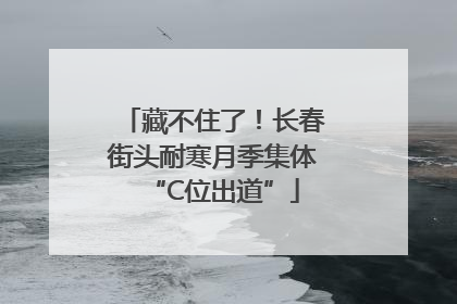 藏不住了！长春街头耐寒月季集体“C位出道”