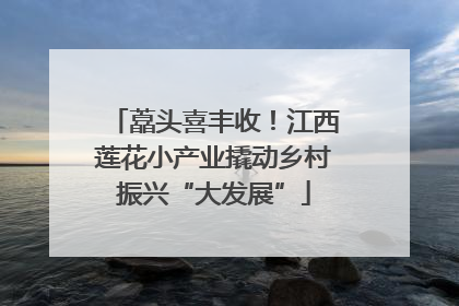 藠头喜丰收！江西莲花小产业撬动乡村振兴“大发展”