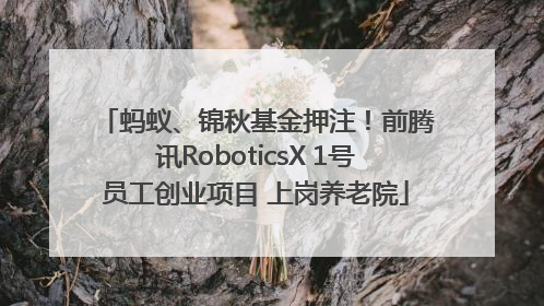 蚂蚁、锦秋基金押注！前腾讯RoboticsX 1号员工创业项目 上岗养老院