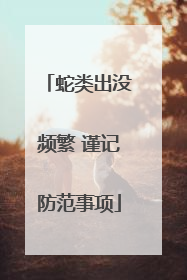 蛇类出没频繁 谨记防范事项