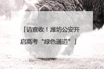 请查收！潍坊公安开启高考“绿色通道”