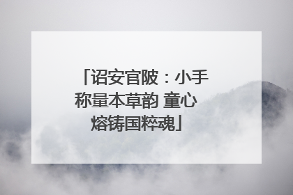 诏安官陂：小手称量本草韵 童心熔铸国粹魂