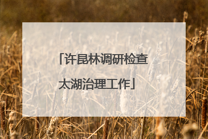 许昆林调研检查太湖治理工作