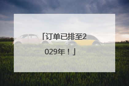 订单已排至2029年！