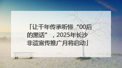 让千年传承听懂“00后的黑话”，2025年长沙非遗宣传推广月将启动