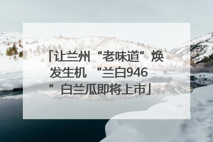 让兰州“老味道”焕发生机 “兰白946”白兰瓜即将上市