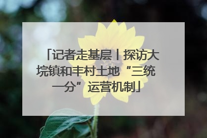记者走基层丨探访大垸镇和丰村土地“三统一分”运营机制